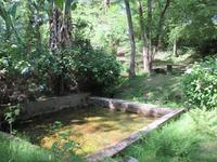 Lavoir_medium.jpg